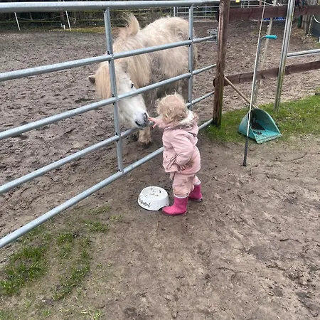 Erlebnisbauernhof Schwanewede Dom wakacyjny